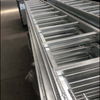 HDG Scaffolding سلم القرد الفولاذ السلم المستقيم
