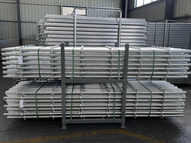 Ringlock Scaffolding Standard